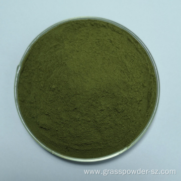 Organic Barley Grass Juice Powder